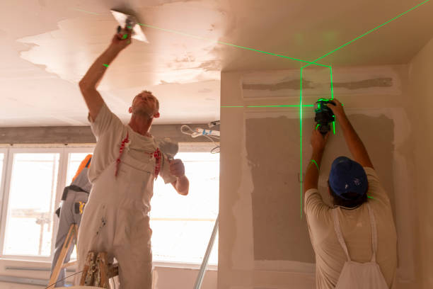 Best Environmental Consulting for Mold Prevention  in Riverview, SC